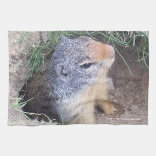 Toalla de cocina de Groundhog