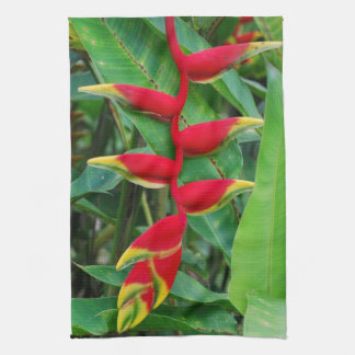 Toalla de cocina de Heliconia