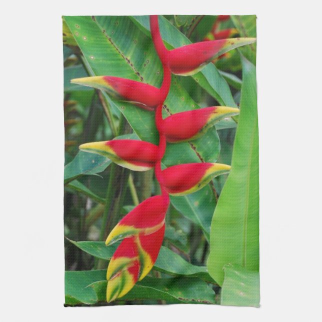 Toalla de cocina de Heliconia (Vertical)