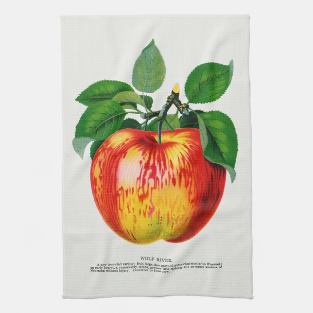 Toalla de cocina de Ilustracion Apple Vintage (Vertical)
