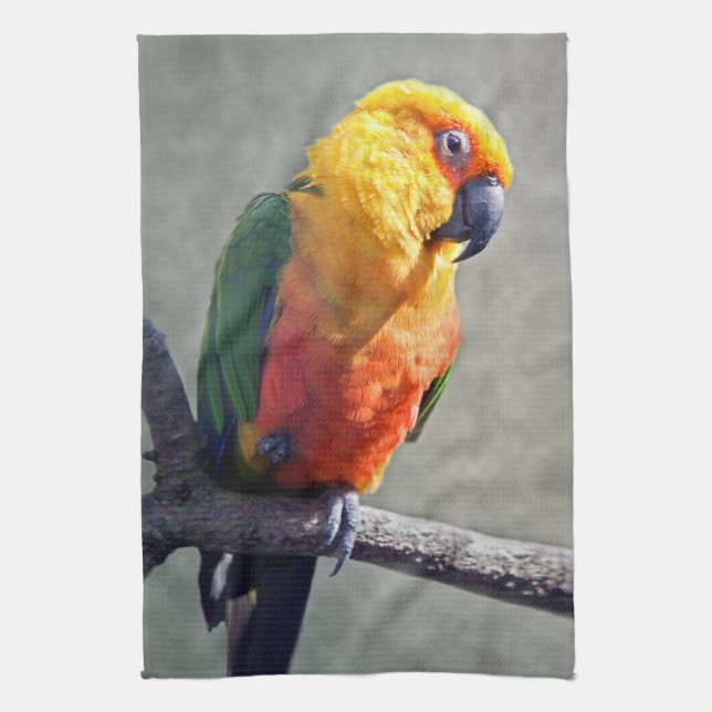 Toalla de cocina de Jenday Conure (Vertical)