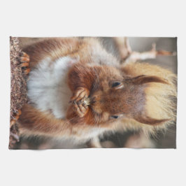 Toalla de cocina de la ardilla