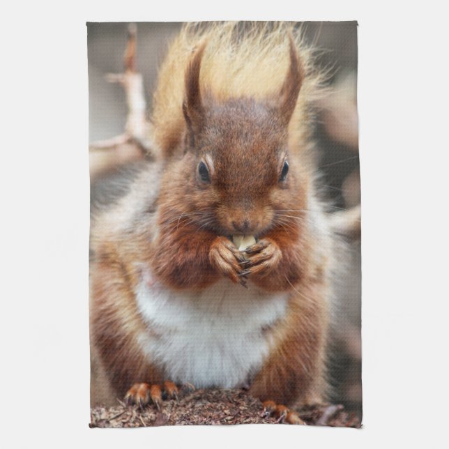 Toalla de cocina de la ardilla (Vertical)