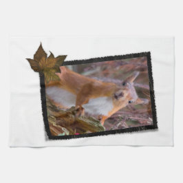 Toalla de cocina de la ardilla