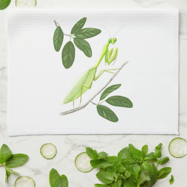 Toalla de cocina de la mantis religiosa (Doblado)