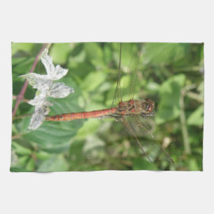 Toalla de cocina de la mosca de la lluvia más oscu