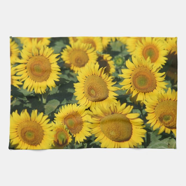 Toalla de cocina de los girasoles 16" x 24" (Horizontal)