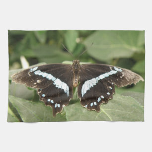 Toalla de cocina de mariposa tropical negra y blan