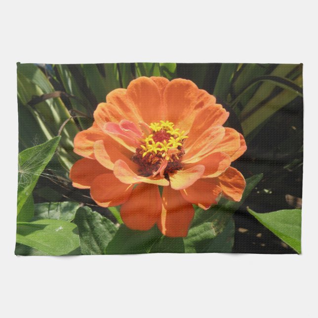Toalla de cocina de naranja Zinnia (Horizontal)
