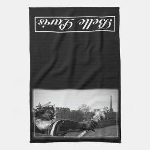 Toalla de cocina de París de la belleza