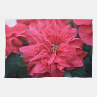 Toalla de cocina de Poinsettia