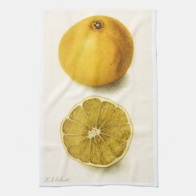 Toalla de cocina de pomelo (Vertical)