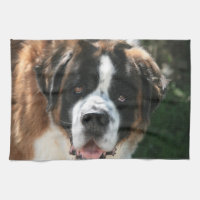 Toalla de cocina de St Bernard