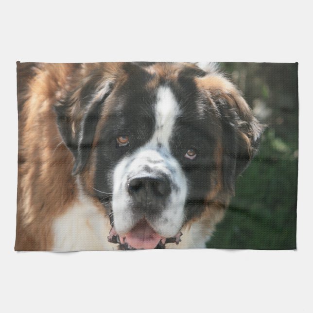 Toalla de cocina de St Bernard (Horizontal)