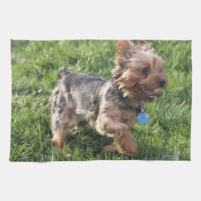 Toalla de cocina de York Terrier (Horizontal)