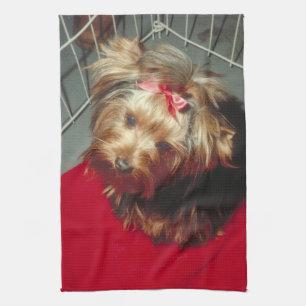 Toalla de cocina de Yorkshire Terrier Yorkie