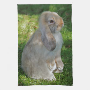 Toalla de cocina del conejo de Minilop del bebé