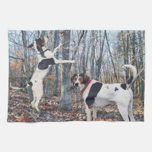 Toalla de cocina del Coonhound del caminante de