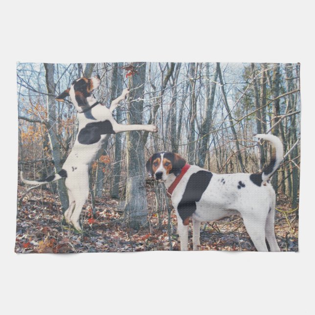 Toalla de cocina del Coonhound del caminante de (Horizontal)