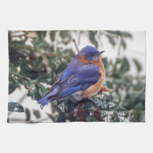 Toalla de cocina del este del Bluebird