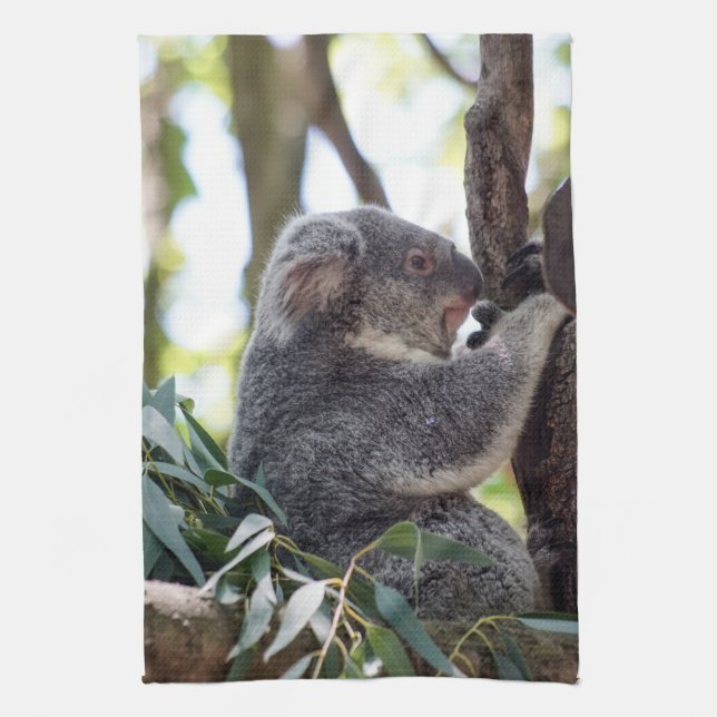 Toalla de cocina del oso de koala (Vertical)