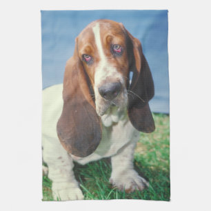 Toalla de cocina del perro de Basset Hound