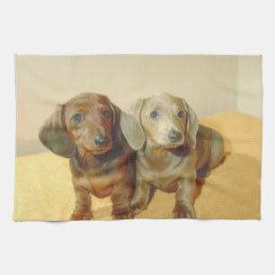 Toalla de cocina del perro de perritos del