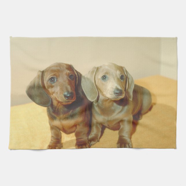 Toalla de cocina del perro de perritos del (Horizontal)