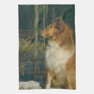 Toalla de cocina del perro del collie