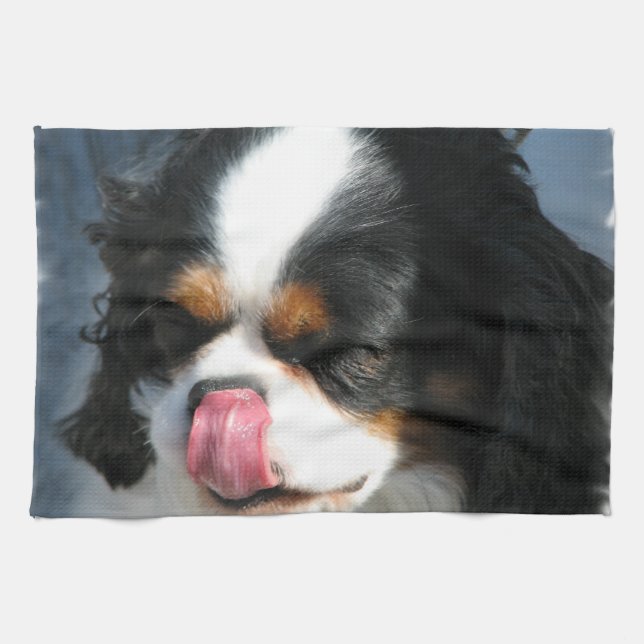 Toalla de cocina del perro del perro de aguas (Horizontal)