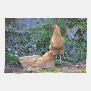 Toalla de cocina del pollo