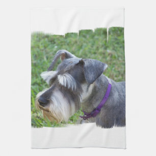 Toalla de cocina del Schnauzer