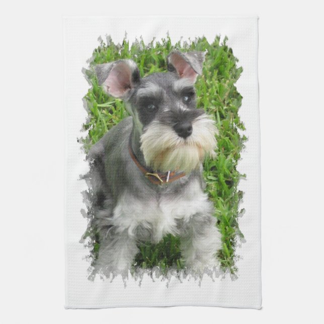 Toalla de cocina del Schnauzer miniatura (Vertical)
