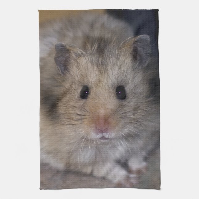 Toalla de cocina Hammie (Vertical)