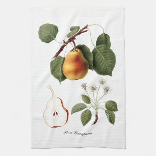 Toalla de cocina italiana de la pera