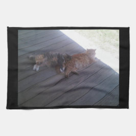 Toalla de cocina para gatos