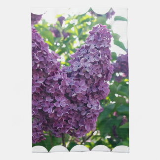 Toalla de cocina púrpura de las lilas