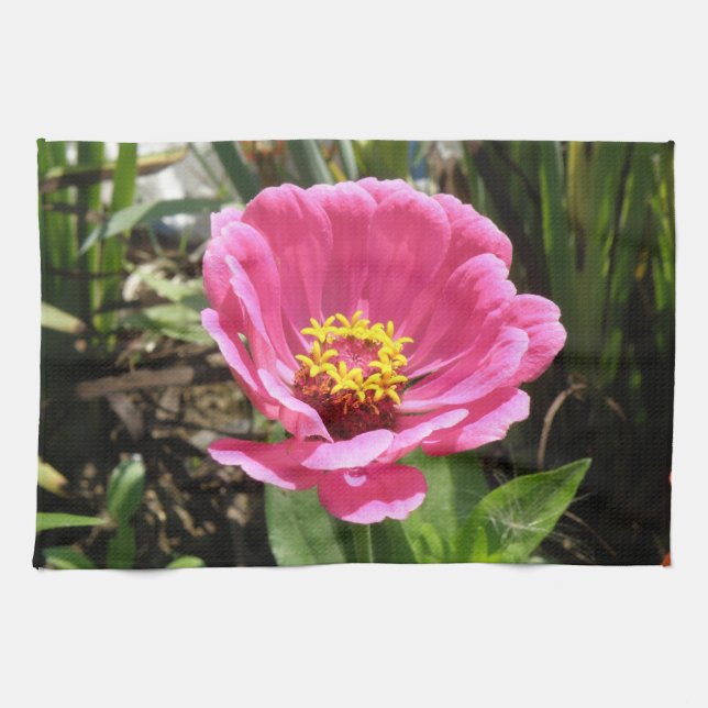 Toalla de cocina rosa de bonito de Zinnia (Horizontal)