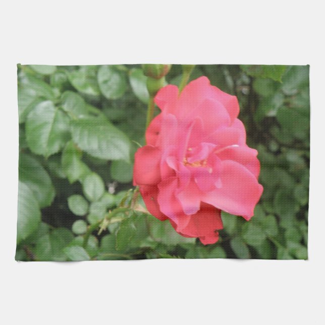 Toalla de cocina Rosa salvaje (Horizontal)