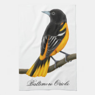 Toalla de cocina salvaje del pájaro de Baltimore