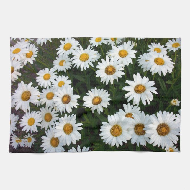 Toalla de cocina Shasta Daisy (Horizontal)