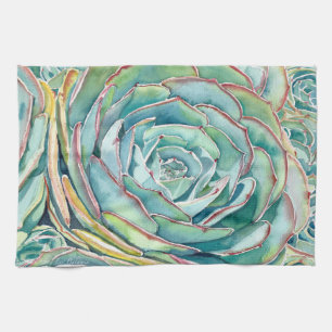 Toalla de cocina suculenta de Blue Echeveria