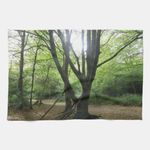 Toalla de cocina Woodland Sunshine