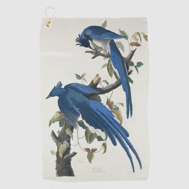 Toalla De Golf Audubon Columbia Jay Black Thropie Magpie Jay (Anverso)