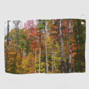 Toalla De Golf Caída en la colorida fotografía de otoño en el bos