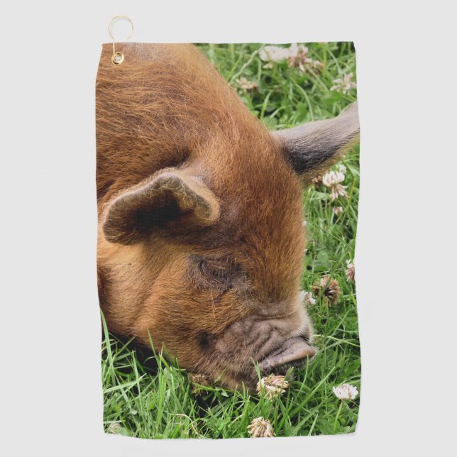 TOALLA DE GOLF CERDO CUTIDO (Anverso)