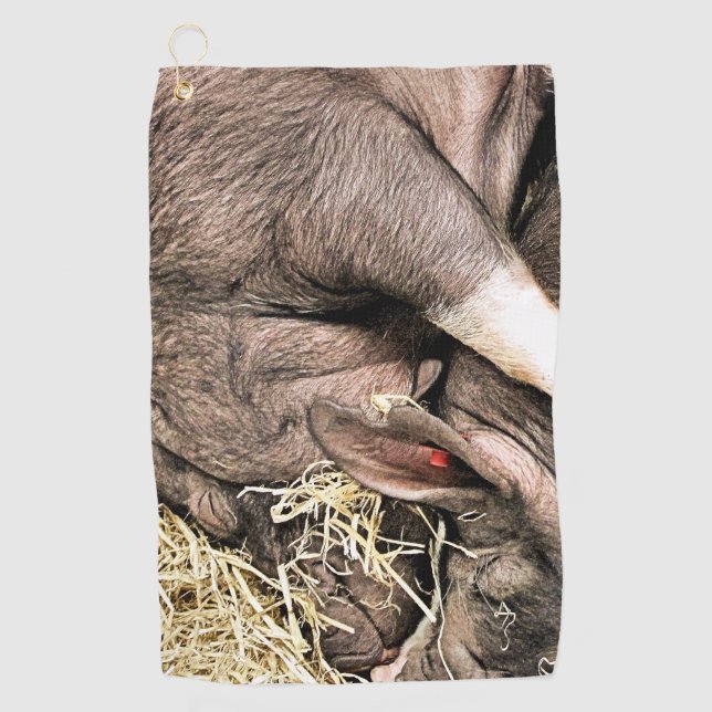 TOALLA DE GOLF CERDOS DE DORMIR CUIDADOS (Anverso)