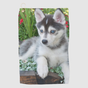 Toalla De Golf Crea tu propia foto personalizada de tu mascota