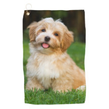 Crea tu propio perro gato personalizado