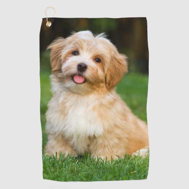 Toalla De Golf Crea tu propio perro gato personalizado (Anverso)